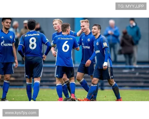 多支球队关注沙尔克中场法乌齐转会费预计高达八百万欧元